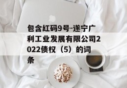 包含红码9号-遂宁广利工业发展有限公司2022债权（5）的词条