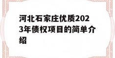 河北石家庄优质2023年债权项目的简单介绍