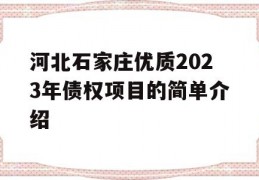 河北石家庄优质2023年债权项目的简单介绍