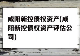 咸阳新控债权资产(咸阳新控债权资产评估公司)