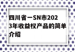 四川省一SN市2023年收益权产品的简单介绍