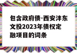 包含政府债-西安沣东文投2023年债权定融项目的词条