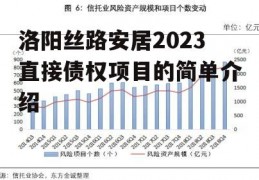 洛阳丝路安居2023直接债权项目的简单介绍