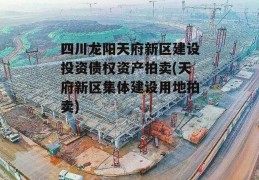 四川龙阳天府新区建设投资债权资产拍卖(天府新区集体建设用地拍卖)