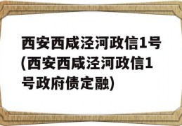 西安西咸泾河政信1号(西安西咸泾河政信1号政府债定融)