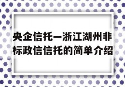 央企信托—浙江湖州非标政信信托的简单介绍