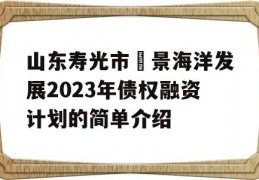 山东寿光市昇景海洋发展2023年债权融资计划的简单介绍