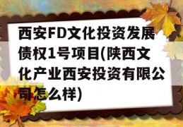 西安FD文化投资发展债权1号项目(陕西文化产业西安投资有限公司怎么样)