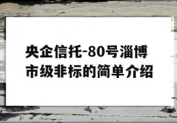 央企信托-80号淄博市级非标的简单介绍