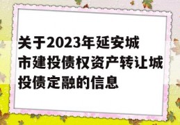 关于2023年延安城市建投债权资产转让城投债定融的信息