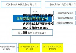 齐河县城市经营建设投资2023债权项目(齐河县城市经营建设投资2023债权项目招标)