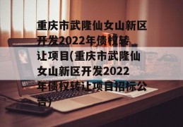 重庆市武隆仙女山新区开发2022年债权转让项目(重庆市武隆仙女山新区开发2022年债权转让项目招标公告)