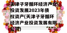 天津子牙循环经济产业投资发展2023年债权资产(天津子牙循环经济产业投资发展有限公司)