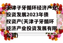 天津子牙循环经济产业投资发展2023年债权资产(天津子牙循环经济产业投资发展有限公司)