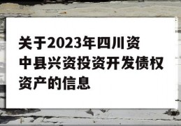 关于2023年四川资中县兴资投资开发债权资产的信息