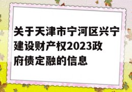 关于天津市宁河区兴宁建设财产权2023政府债定融的信息