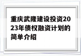 重庆武隆建设投资2023年债权融资计划的简单介绍