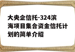 大央企信托-324滨海项目集合资金信托计划的简单介绍