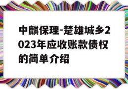 中麒保理-楚雄城乡2023年应收账款债权的简单介绍