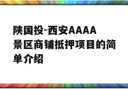 陕国投-西安AAAA景区商铺抵押项目的简单介绍