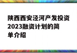 陕西西安泾河产发投资2023融资计划的简单介绍