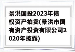 景洪国投2023年债权资产拍卖(景洪市国有资产投资有限公司2020年披露)