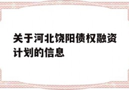 关于河北饶阳债权融资计划的信息