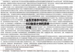 山东济南市XXXX2022融资计划的简单介绍