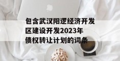 包含武汉阳逻经济开发区建设开发2023年债权转让计划的词条