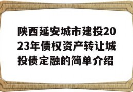 陕西延安城市建投2023年债权资产转让城投债定融的简单介绍