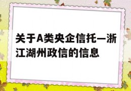 关于A类央企信托—浙江湖州政信的信息