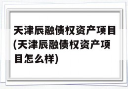 天津辰融债权资产项目(天津辰融债权资产项目怎么样)