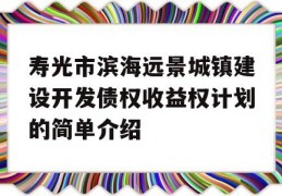 寿光市滨海远景城镇建设开发债权收益权计划的简单介绍