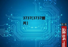 3737(3737图片)