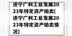 遂宁广利工业发展2023年特定资产拍卖(遂宁广利工业发展2023年特定资产拍卖情况)