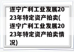 遂宁广利工业发展2023年特定资产拍卖(遂宁广利工业发展2023年特定资产拍卖情况)