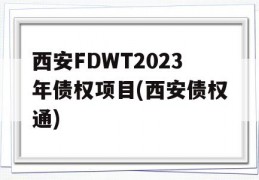 西安FDWT2023年债权项目(西安债权通)