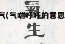 气(气喘吁吁的意思)