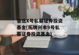 智选X号私募证券投资基金(拓牌兴丰9号私募证券投资基金)