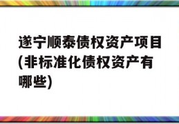 遂宁顺泰债权资产项目(非标准化债权资产有哪些)