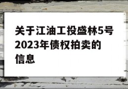 关于江油工投盛林5号2023年债权拍卖的信息