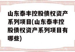 山东泰丰控股债权资产系列项目(山东泰丰控股债权资产系列项目有哪些)