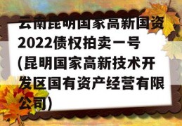 云南昆明国家高新国资2022债权拍卖一号(昆明国家高新技术开发区国有资产经营有限公司)