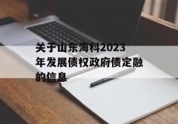 关于山东海科2023年发展债权政府债定融的信息