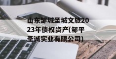 山东邹城圣城文旅2023年债权资产(邹平圣诚实业有限公司)