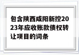 包含陕西咸阳新控2023年应收账款债权转让项目的词条