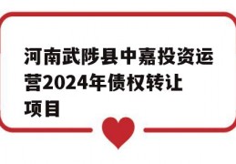 河南武陟县中嘉投资运营2024年债权转让项目