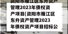 资阳市雁江区东升资产管理2023年债权资产项目(资阳市雁江区东升资产管理2023年债权资产项目招标公告)