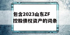 包含2023山东ZF控股债权资产的词条