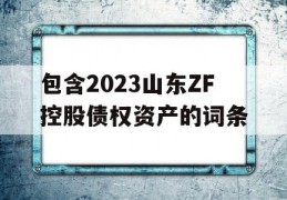 包含2023山东ZF控股债权资产的词条